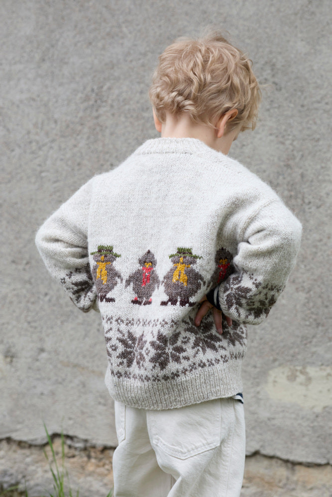 Flåklypagenser - bjergkøbing grand prix sweater garnpakke med opskrift