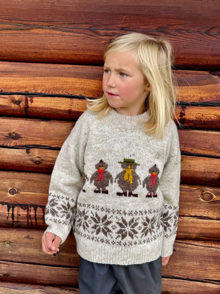 Flåklypagenser - bjergkøbing grand prix sweater garnpakke med opskrift