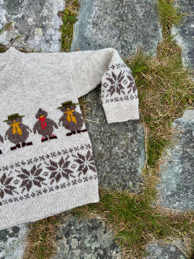 Flåklypagenser - bjergkøbing grand prix sweater garnpakke med opskrift