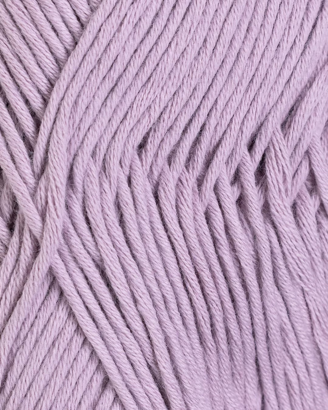 Petunia | Rauma
