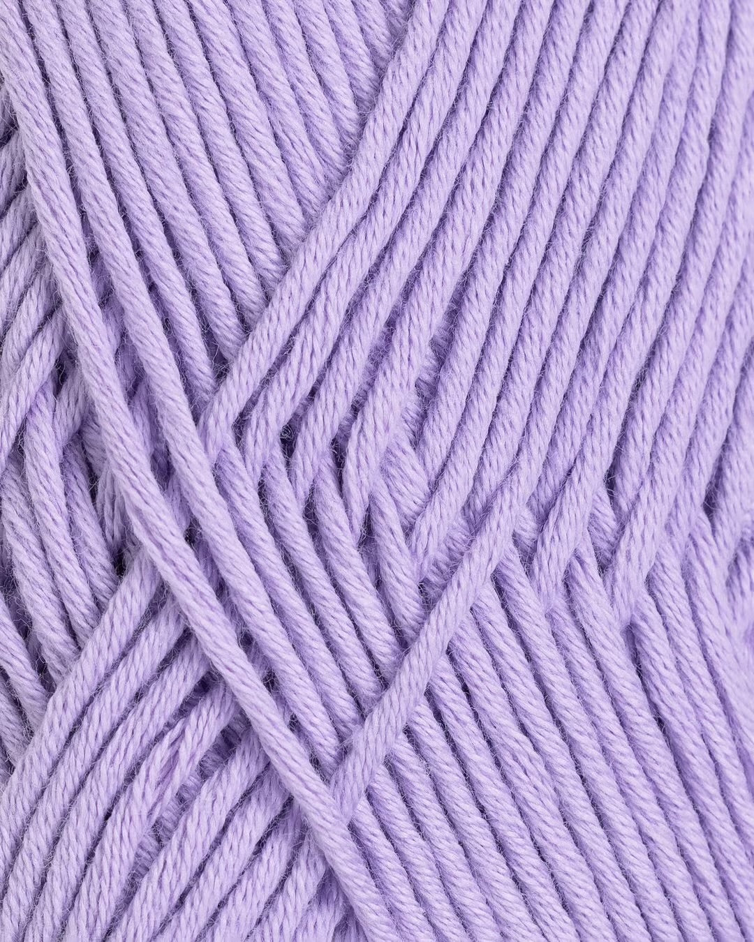 Petunia | Rauma