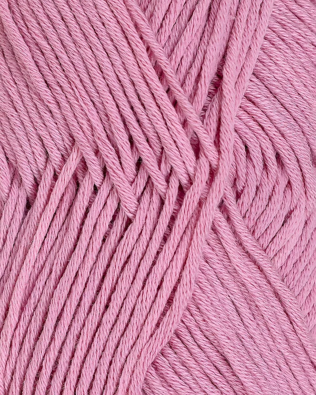 Petunia | Rauma