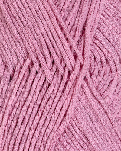 Petunia | Rauma